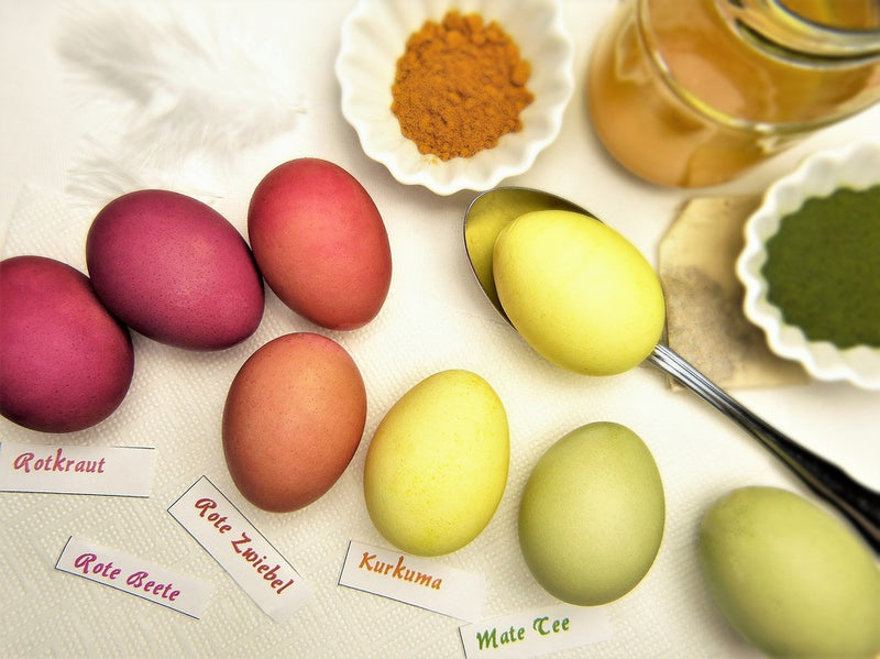 Health characteristics of the „wonder plant“ you can dye your Easter eggs with!