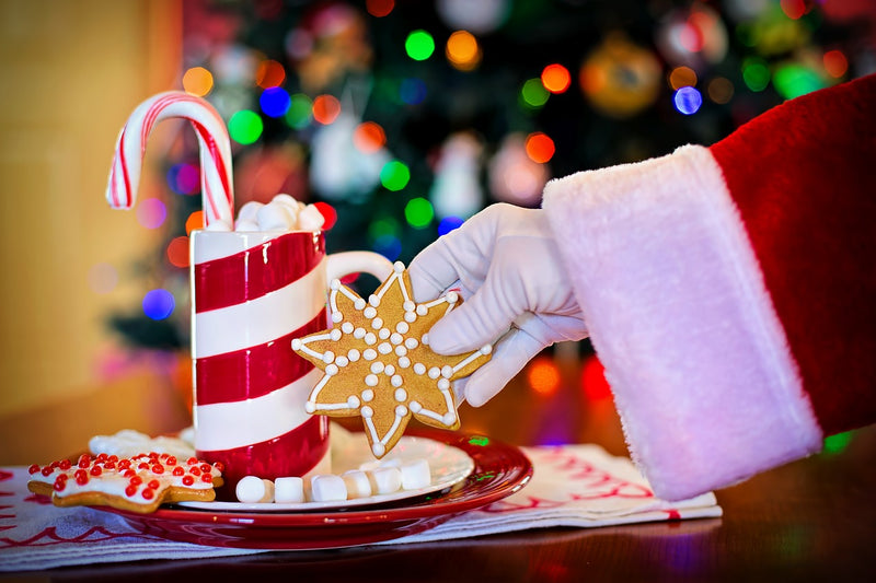 Santa on a diet: 3 Delicious Healthy Christmas Desserts